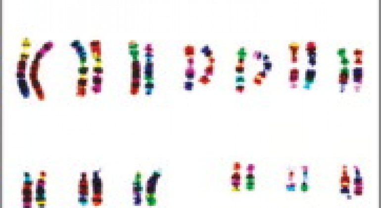 Circulating fetal DNA Patent Invalidated